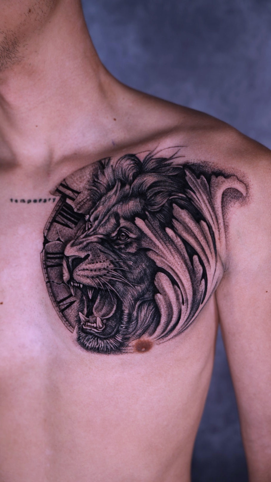 Black and grey lion chest tattoo by Eduardo Marquez at Lions Ink San Antonio
