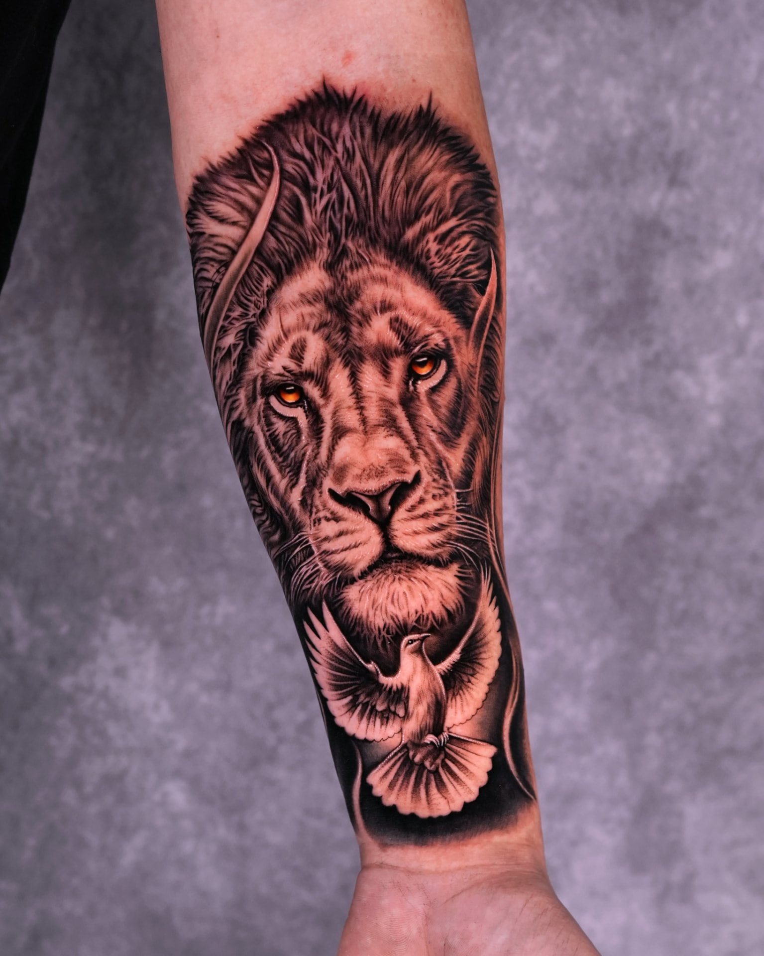 Black and grey realism lion and dove forearm sleeve tattoo by Lions Ink in San Antonio